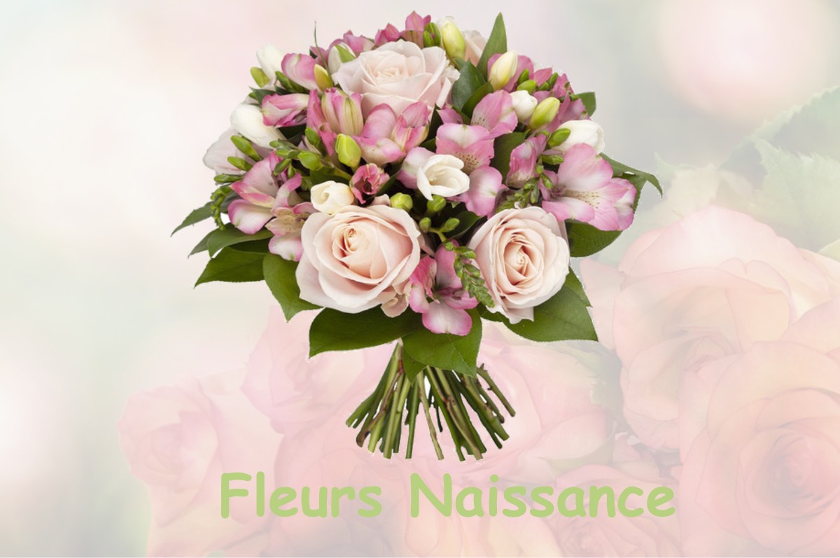 fleurs naissance GERMIGNY-DES-PRES